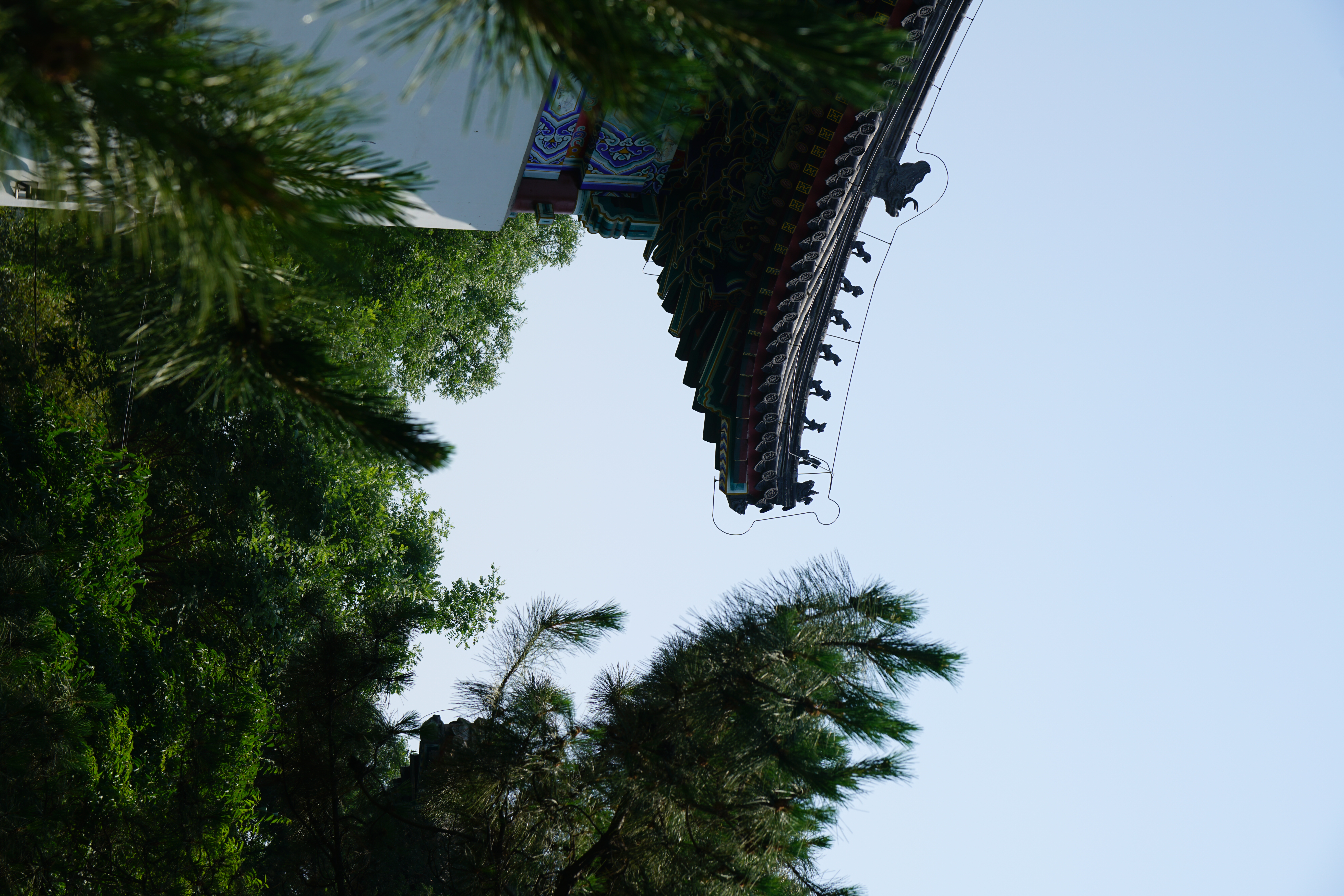 展览日历